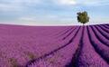 Andreas G. Karelias, Shutterstock.com