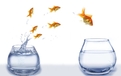 Dmitriy Shironosov, Shutterstock.com