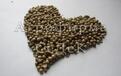 www.SeedsMail.ru