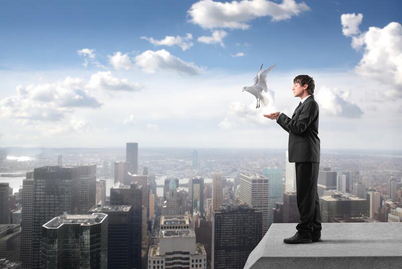 :: olly, Shutterstock.com