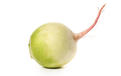JIANG HONGYAN, Shutterstock.com