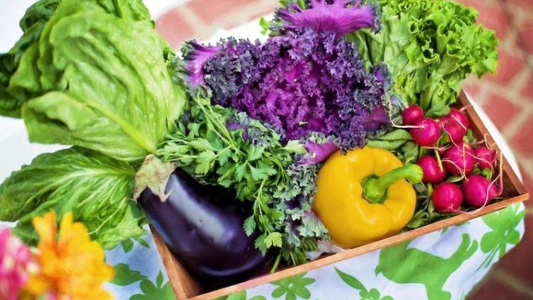 Какие овощи усиливают иммунитет?