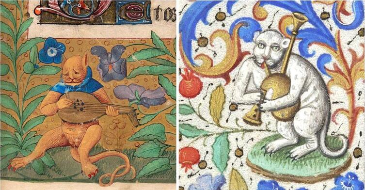 Коты на средневековых миниатюрах