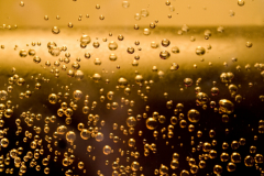 Классика биотехнологии: как зерно и дрожжи становятся пивом?