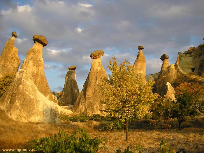 http://shkolazhizni.ru/img/content/i40/40544_or.jpg