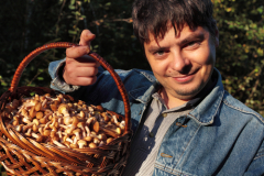 Не пора ли за грибами? Не пора ли за грибами?