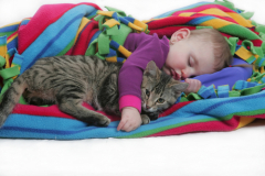 Русские народные колыбельные: какие животные навещали малышей перед сном?