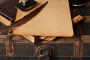 (����: Marie C. Fields, Shutterstock)