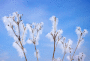 (����: irin-k, Shutterstock)