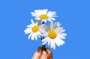 (����: viviamo, Shutterstock)