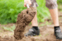 (����: Kzenon, Shutterstock)