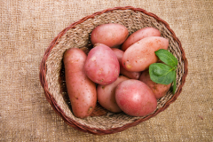 ��� ������ ������ ���������?(Madlen, Shutterstock)