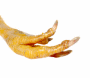 (����: ason, Shutterstock)