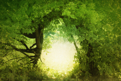 ��� ����������� � ���������?(SergeyIT, Shutterstock)