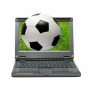 (����: Kokhanchikov, Shutterstock)