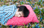 (Фото: Perfect Escape, Shutterstock) (Фото: Perfect Escape, Shutterstock)