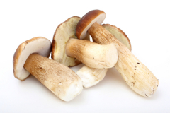��� ������ �� ��������������� �������? ������������(Leonid Shcheglov, Shutterstock)