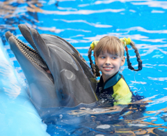 ��� ������� ��������?( Poznyakov, Shutterstock.com)