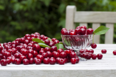 �����: ��� �������� ������?(Gudrun Muenz / Shutterstock.com)