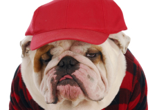 (����: WilleeCole / Shutterstock.com)