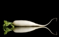Mariyana Misaleva, Shutterstock.com