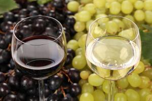 Что такое САТ для созревания и правильного выбора сортов винограда?