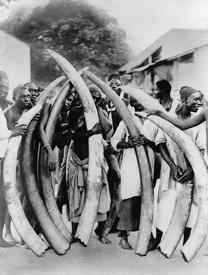 Аборигены с бивнями. Дар-Эс-Салам, 1923 год