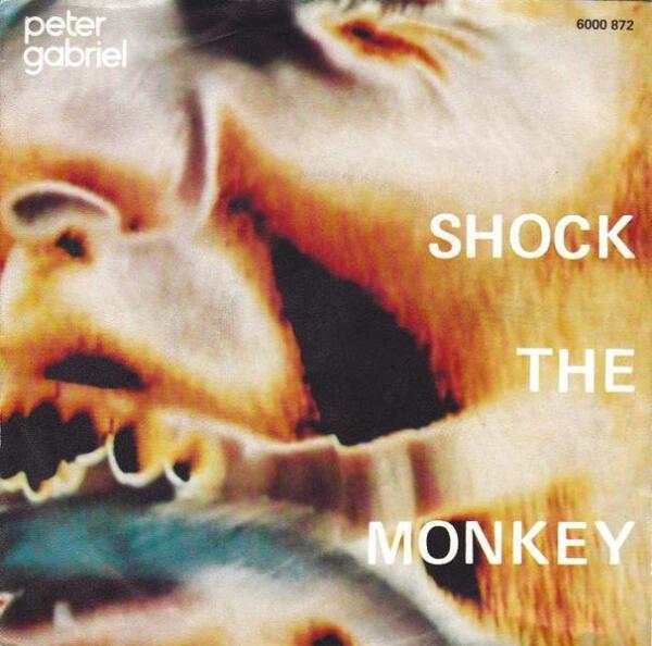 П. Гэбриэл: «Сингл «Shock the Monkey» не особенно хорошо продавался. Некоторые поклонники хардкора считают его лучшей моею записью, а остальные находят его слишком эксцентричным»