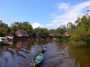 Джунгли Амазонки. Как создать уют в диких условиях?