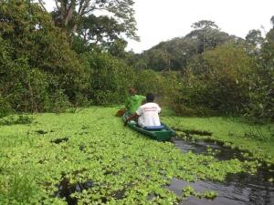 Как организовать себе приключение в джунглях Амазонки? 1. Финансы