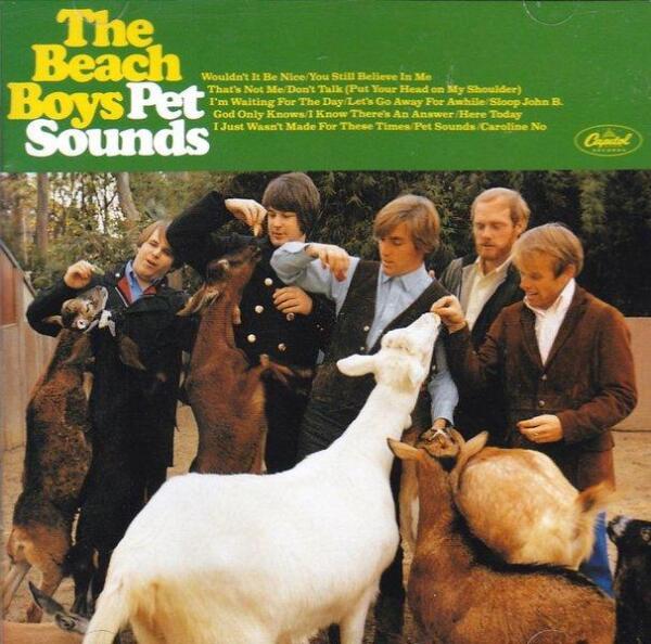 Название «Pet Sounds» можно перевести и как 