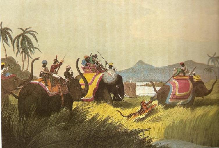Охота на тигров в Индии в XIX веке