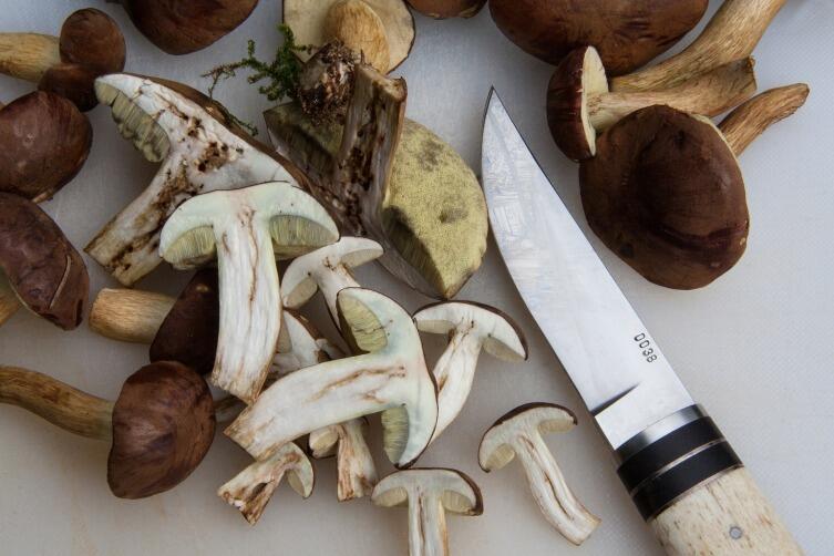 Как заморозить белые грибы?
