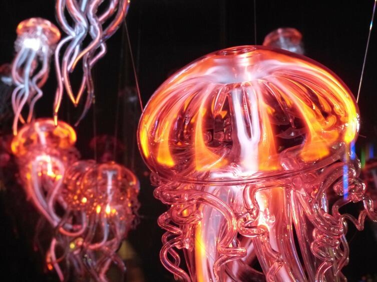 Фантастическая картина светящихся медуз