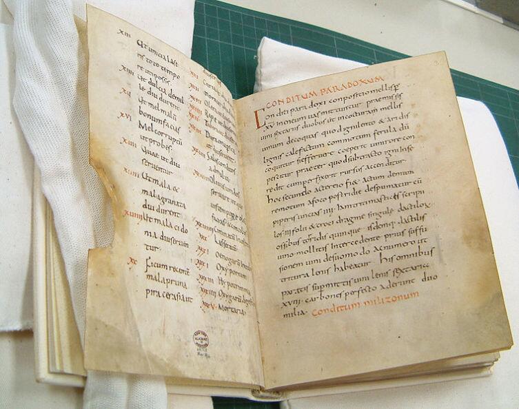 De Re Coquinaria — одна из старейших кулинарных книг в мире