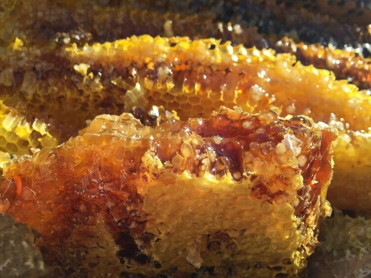 Народная диетология. Настолько ли полезен мед, как принято считать?