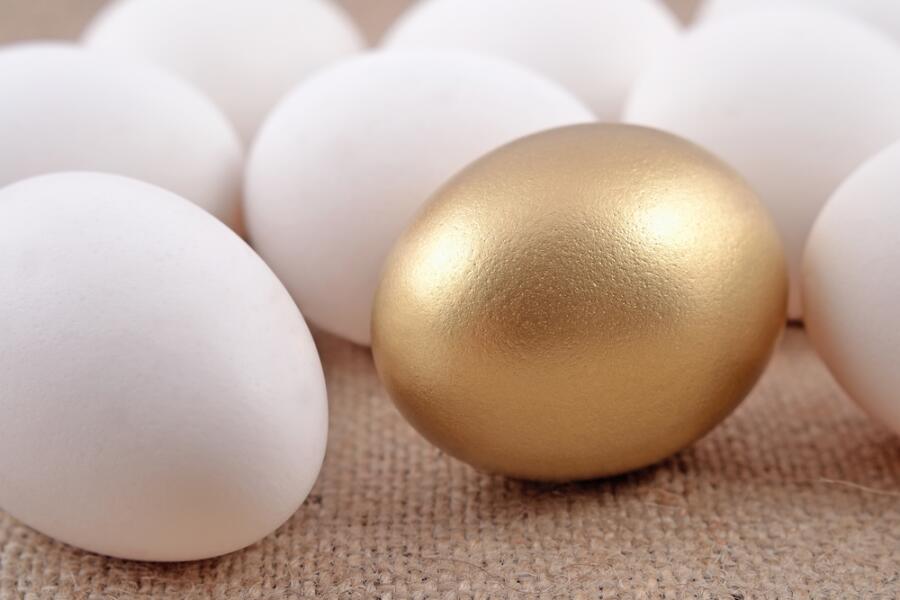 Паразиты В Куриных Яйцах Фото