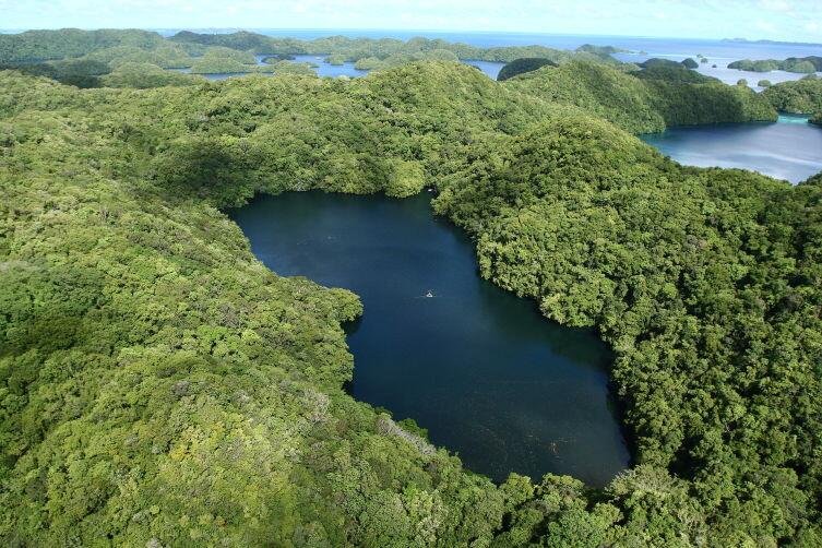 Озеро Медуз, вид с высоты птичьего полёта, Палау