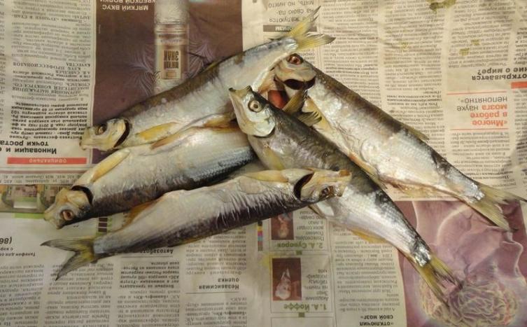 Рыба на газетке — привычное дело…