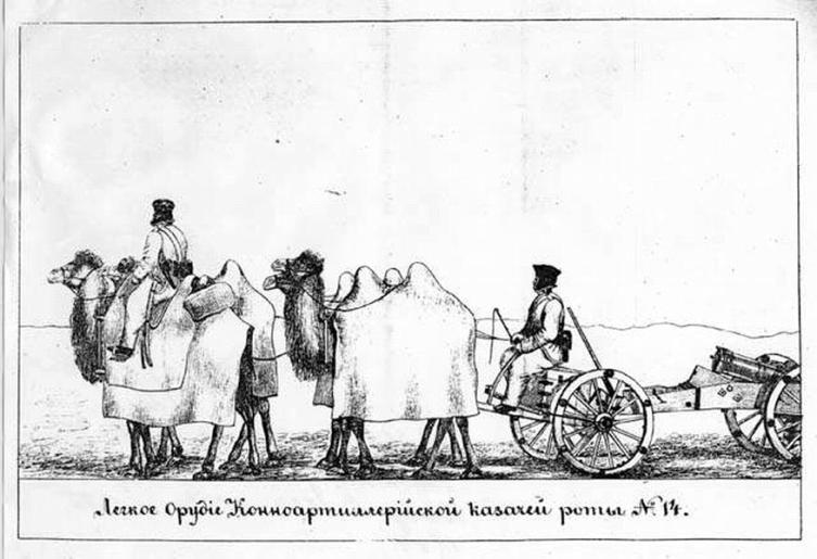 Верблюды тянут орудие во время похода русской армии в Хивинское ханство 1839—1840 гг.