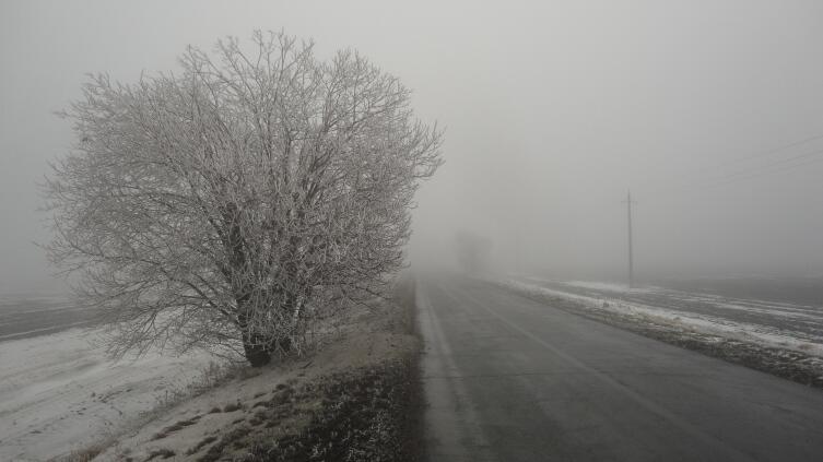 Фото: Красота зимней дороги обманчива. За ней - туман, гололед...
