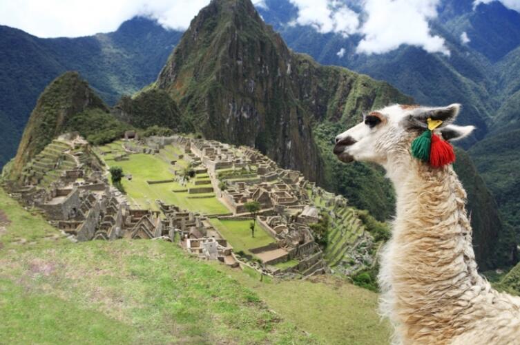 Мачу-Пикчу, древний город инков, и задумчивый символ Перу