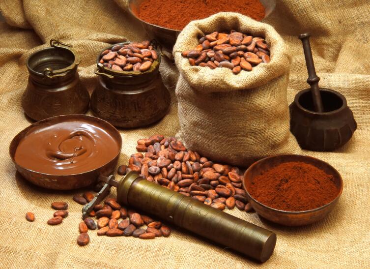 Какао-бобы - Theobroma cacao. Теоброма в переводе с латыни — «пища богов»