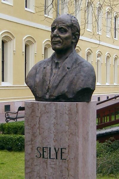 Памятник Гансу Селье