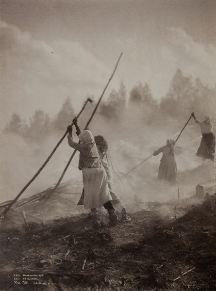 Подсечно-огневая практика земледелия в Финляндии, 1893 год