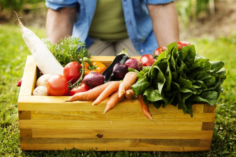 Осенние овощи содержат максимум витаминов