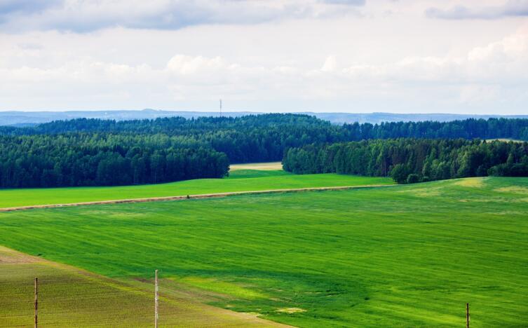 Белорусский пейзаж, Минская область