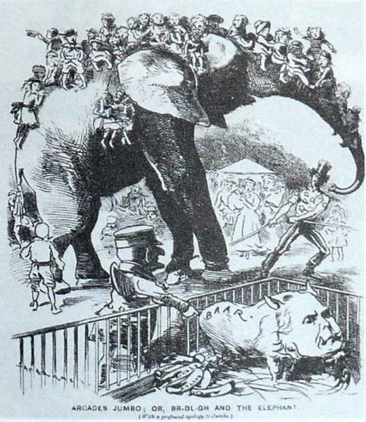Карикатура из журнала «Панч» 1882 г.