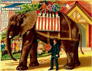 Слонопедия–9. Каких слонов в США любили, а каких... казнили?