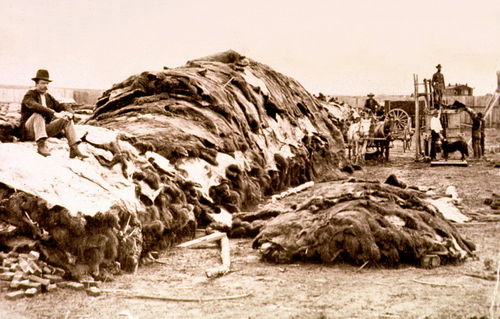 40 000 бизоньих шкур в Додж-Сити, Канзас, 1878 год